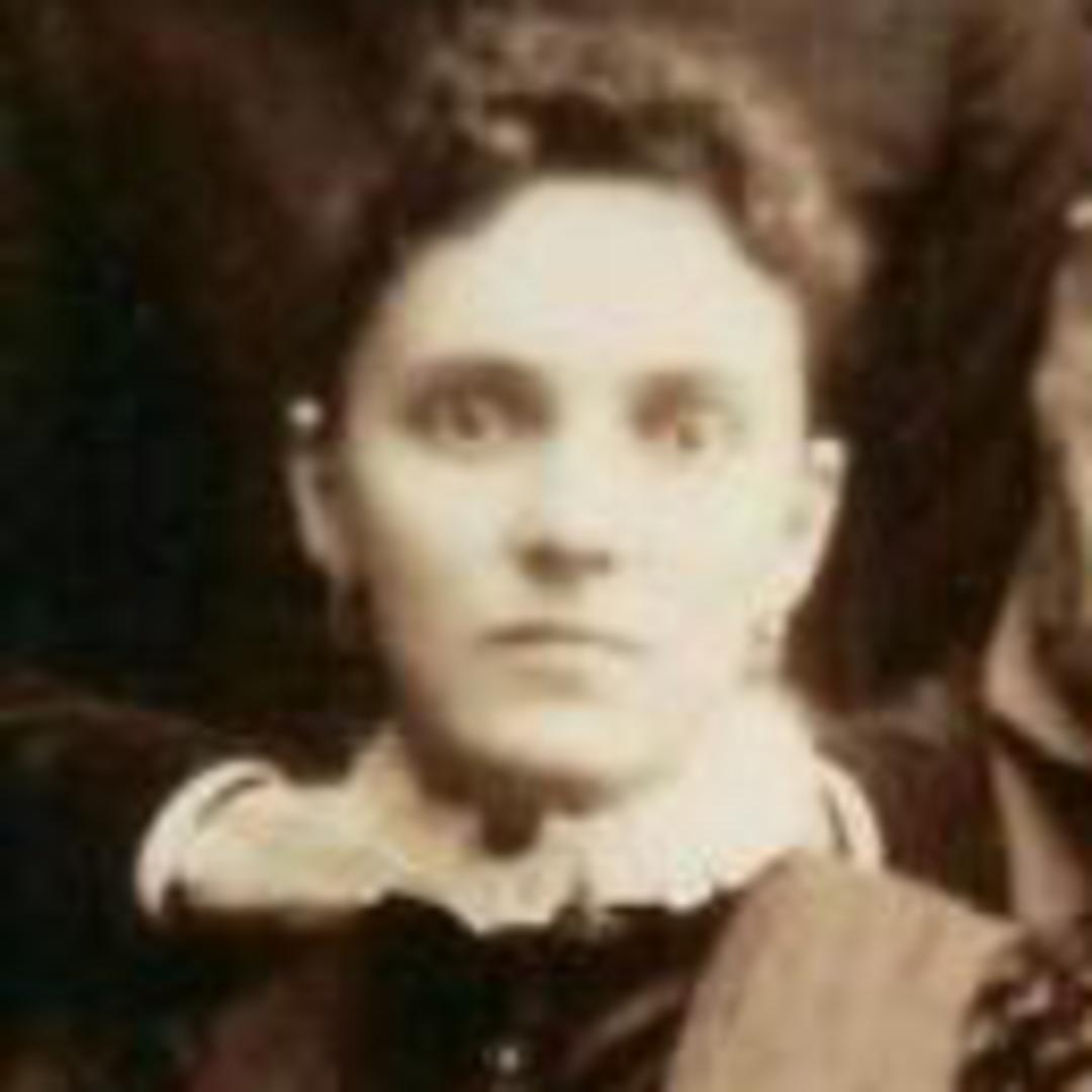 Jessie Robb (1865 - 1946) Profile